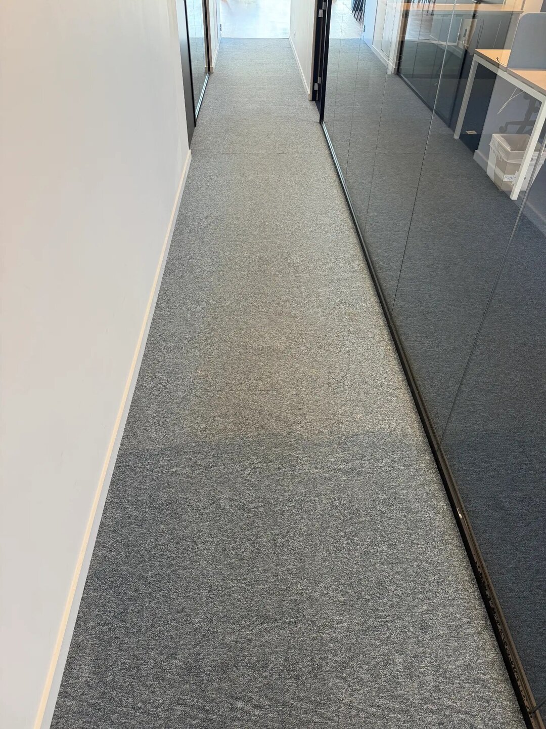 Net gereinigd tapijt in een kantoorgang met glazen wanden